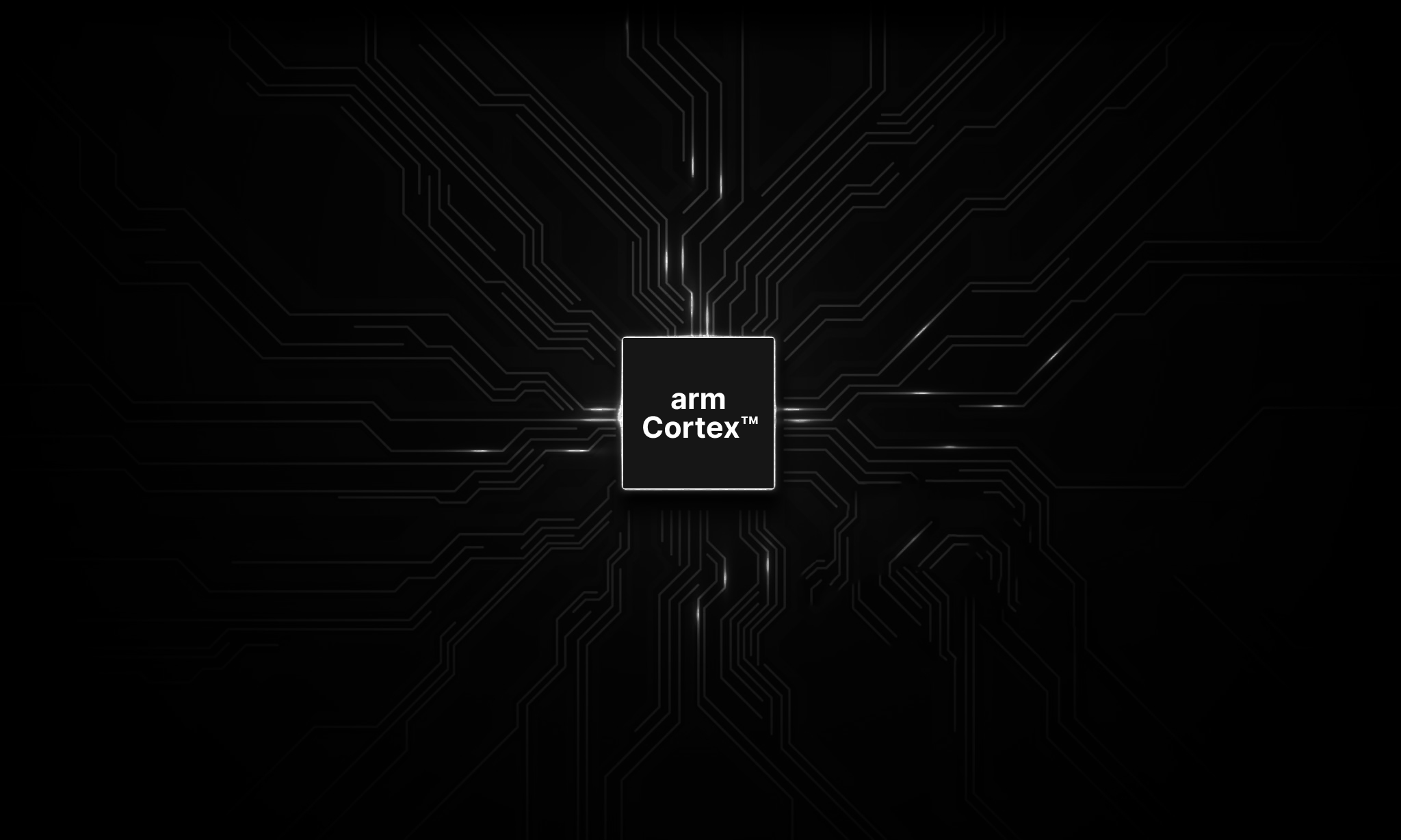 RIYPE CPU